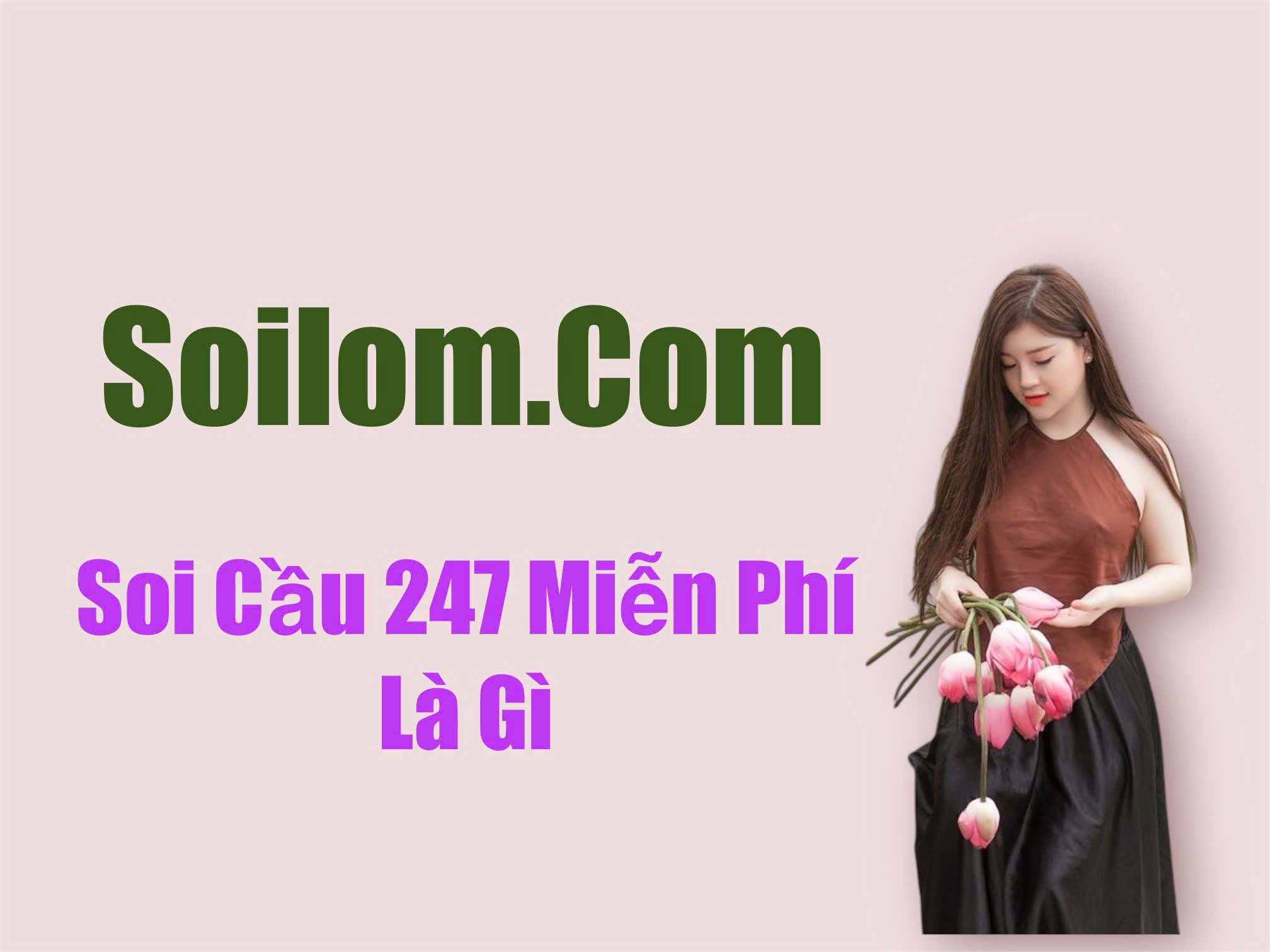 soi-cau-247-mien-phi