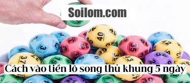 song-thu-khung-5-ngay