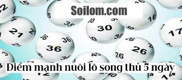 song-thu-khung-5-ngay