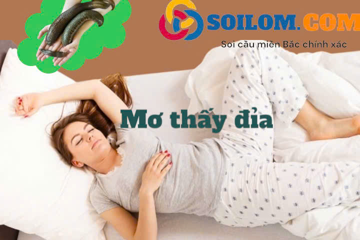 Mơ thấy con đỉa