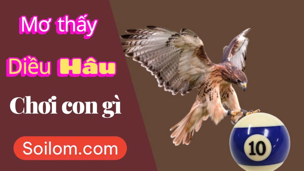 mơ thấy diều hâu