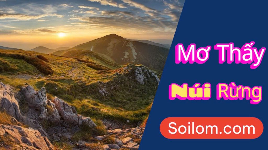 Mơ thấy núi rừng