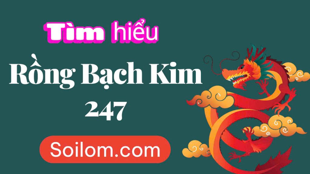 rồng bạch kim 247