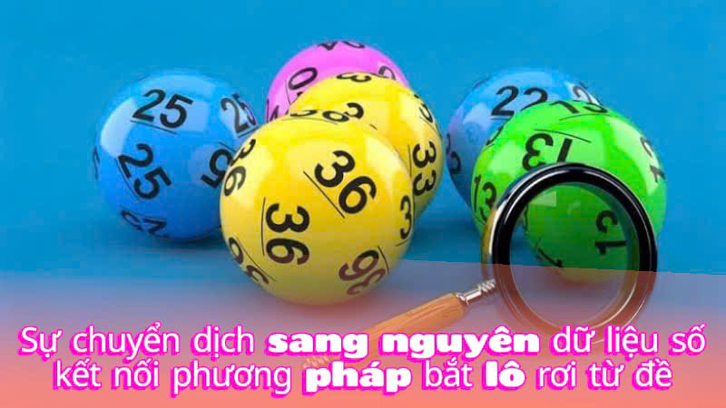 Sự chuyển dịch sang kỷ nguyên dữ liệu số kết hợp với phương pháp bắt lô roi từ đề