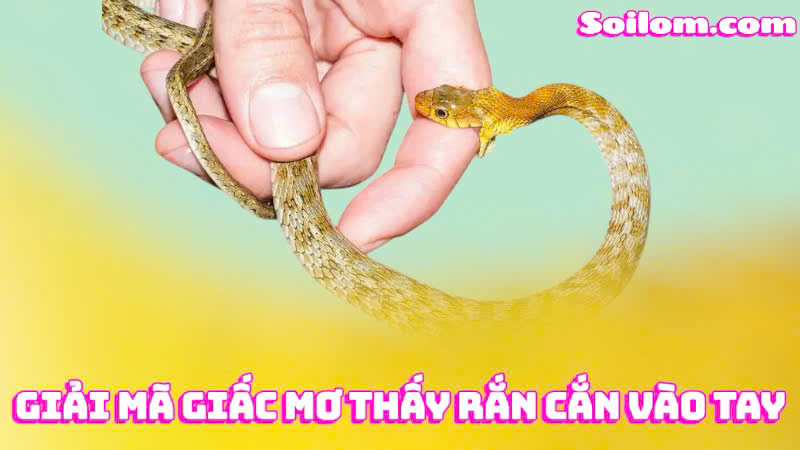mơ thấy rắn cắn ở tay hoặc chân