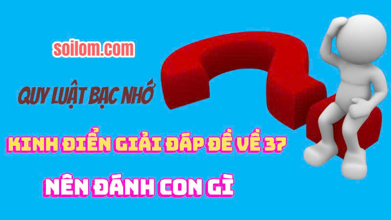 đề về 37 nên đánh con gì