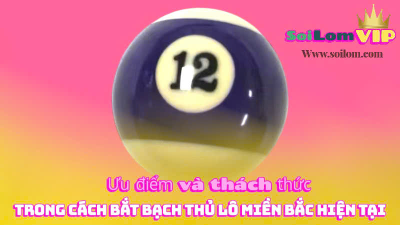 Cách bắt bạch thủ lô Miền Bắc