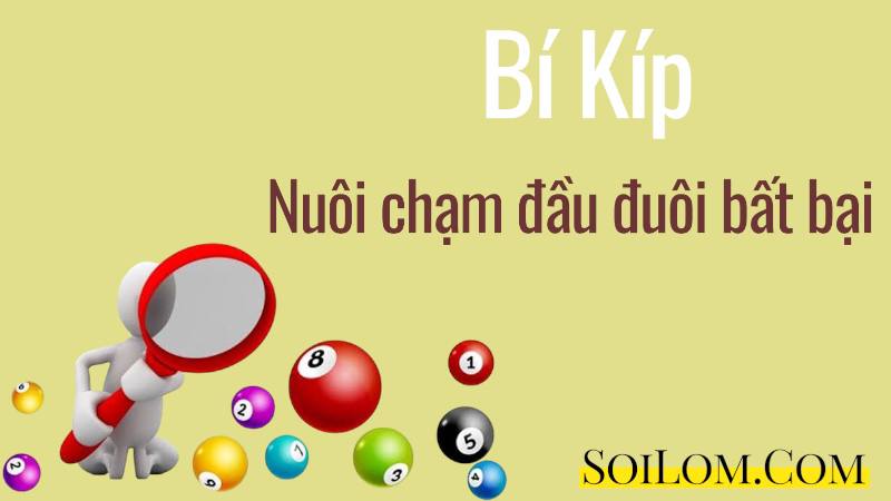 Bí Kíp Nuôi Chạm Đầu Đuôi Bất Bại 