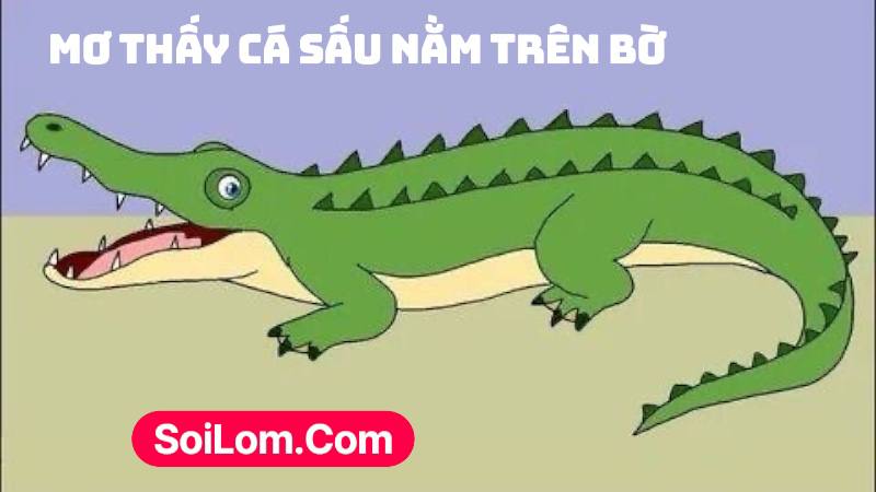 Mơ thấy cá sấu nằm trên bờ